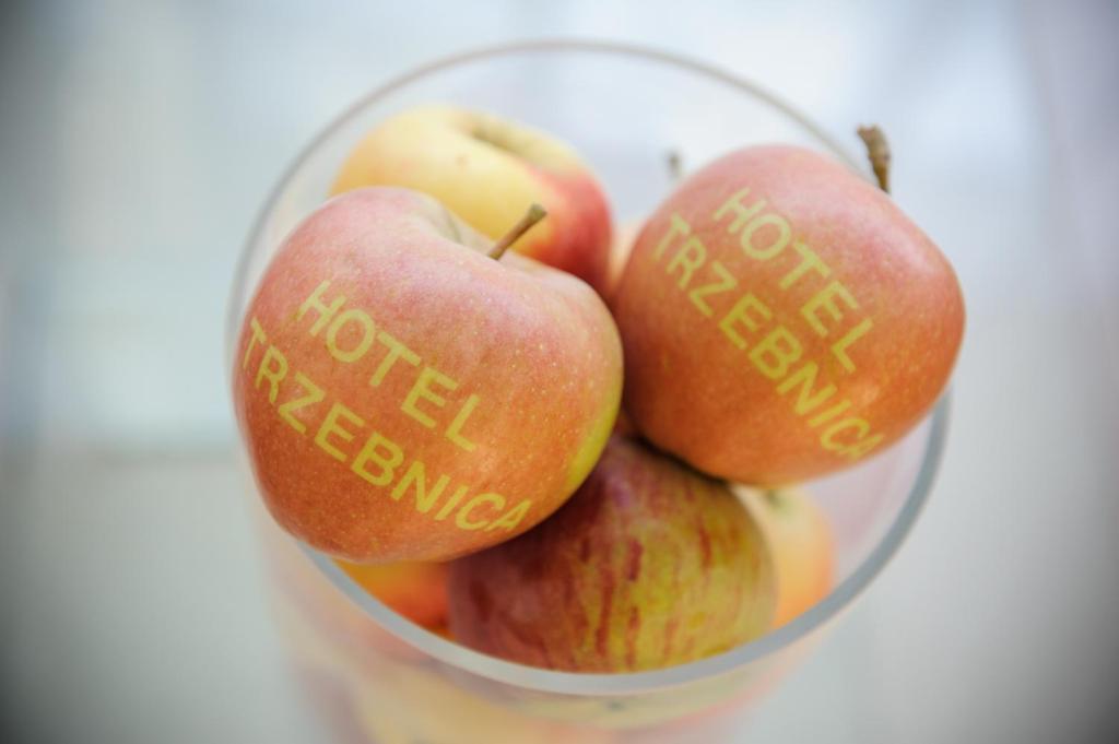 Hotel Trzebnica Εξωτερικό φωτογραφία